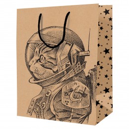 Пакет подарочный 18*23*10см 'Space Cat' крафт, ArtSpace