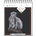 Скетчбук 170*200мм 20л, гребень, 'Sketchbook black' ПОЛИНОМ, блок 100г/м2, бумага черная