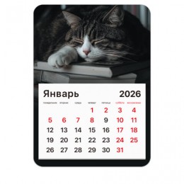 Календарь отрывной на магните 2026г. 'Спящий кот' BRAUBERG, 13*18см