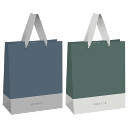 Пакет подарочный 18*23*10см 'Serene colors' ламинированый, MESHU