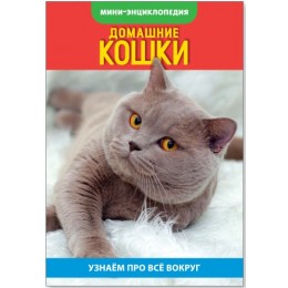 Энциклопедия-мини 'Домашние кошки' 20 стр. БУКВА-ЛЕНД 