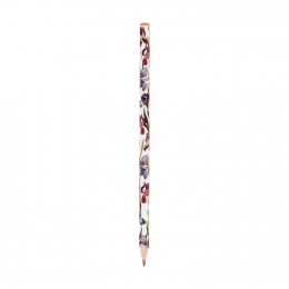 Карандаш ч/г ТМ Bruno Visconti 'Флора. Ирисы', 2мм, трехгранный