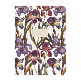 Тетрадь 60л B5 клетка 'Ирисы' Bruno Visconti, сшивка