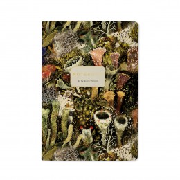 Тетрадь 40л А5 клетка 'Эльфийский лес' Bruno Visconti