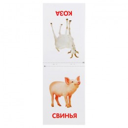 Карточки обучающие на скрепке 'Животные фермы', БУКВА-ЛЕНД