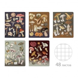 Тетрадь 48л А5 клетка 'Грибная феерия' Bruno Visconti