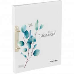 Папка на 2 кольца 24мм А4 0,6мм BERLINGO 'Spring', D-кольца