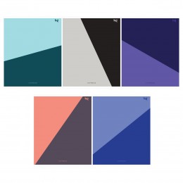 Тетрадь 48л А5 линия 'Medium' BG