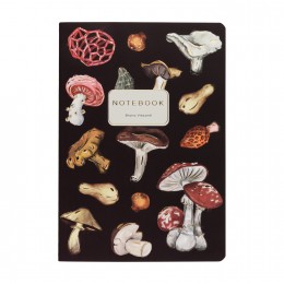 Тетрадь 40л А5 клетка 'Грибная феерия. Brown' Bruno Visconti