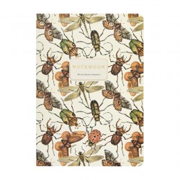 Тетрадь 40л А5 линия 'Фауна. Маленькие крылышки' Bruno Visconti