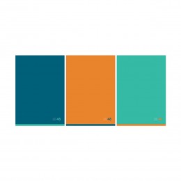 Тетрадь А4 48л клетка 'Моноколор. 48' BG