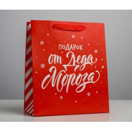 Пакет подарочный 12*15*5,5см 'Подарок от Деда Мороза' ламинированный, вертикальный