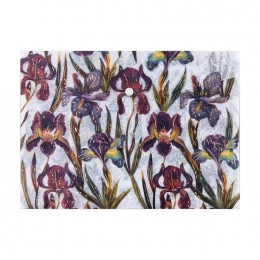 Папка-конверт на кнопке А4 'Ирисы' Bruno Visconti