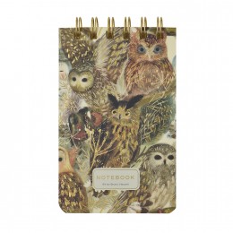 Блокнот А6- 100л, гребень, линия 'Волшебные совы' Bruno Viscont