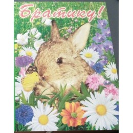 Открытка А5 'Братику!', текст