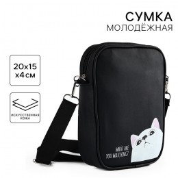 Сумка NAZAMOK 'Что смотришь?' 20*15*4см, на ремешке