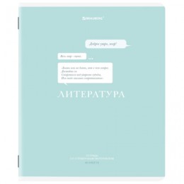 Тетрадь 48л А5 линия Литература 'Creative' BRAUBERG, подсказ