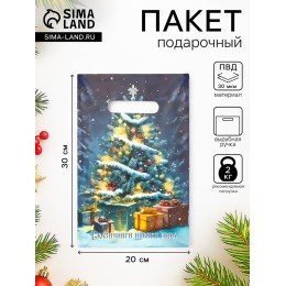 Пакет 20*30см 30мкм 'Сказочного Нового Года', полиэтиленовый с вырубной ручкой