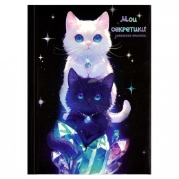 Записная книжка А6 64л клетка 'Два кота' ФЕНИКС+, твёрдый переплёт, поролон