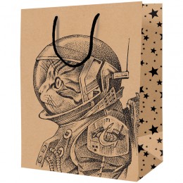 Пакет подарочный 11*14*6,5см 'Space Cat' крафт, ArtSpace