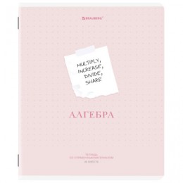 Тетрадь 48л А5 клетка Алгебра 'Creative' BRAUBERG, подсказ