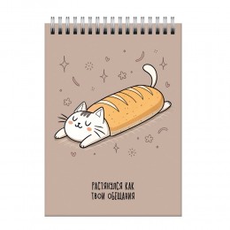 Блокнот А6 60л, гребень, клетка 'Мурчаши.1' ЭКСМО