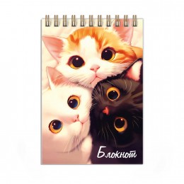Блокнот А6 80л, гребень, клетка 'Три кота' ФЕНИКС+