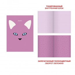 Тетрадь А4 48л линия 'My dreams. Дизайн 5' КАНЦ-ЭКСМО, скрепка, мел.картон
