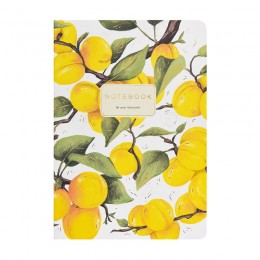 Тетрадь 40л А5 клетка 'Флора. Абрикосы' Bruno Visconti