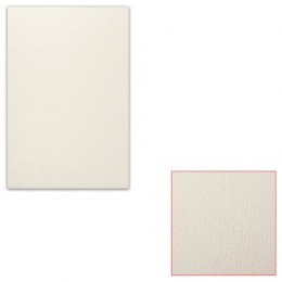 Картон белый 200*300мм толщина 0,9мм, грунтованный для масл.живописи, маслян.грунт, одностор, шк3162