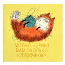 Блокнот 32л 13*13см, скоба, 'Рыжий кот' ФЕНИКС+, дизайнерский блок