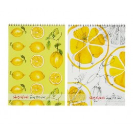 Скетчбук А4 40л, мет.гребень, 'Sketchbook' ПОЛИНОМ, офсет 100г/м2