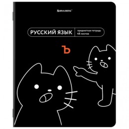 Тетрадь 48л А5 линия Русский язык 'Мемы' BRAUBERG, подсказ