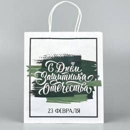 Пакет подарочный 25*22*12см 'С Днем защитника Отечества. 23 февраля' крафт, вертикальный