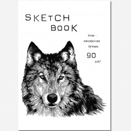 Скетчбук А5 40л 'Sketchbook silk' ПОЛИНОМ, блок 90г/м2, для карандашных набросков
