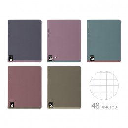 Тетрадь 40л А5 клетка 'Гуси' Bruno Visconti