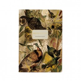Тетрадь 40л А5 клетка 'Fauna. Птицы' Bruno Visconti