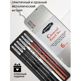 Набор угольных карандашей 6шт ACMELIAE, в металлическом футляре