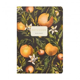 Тетрадь 40л А5 клетка 'Флора. Апельсины' Bruno Visconti
