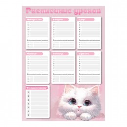 Расписание уроков А3 ФЕНИКС+ 'Белый кот', с расписанием звонков