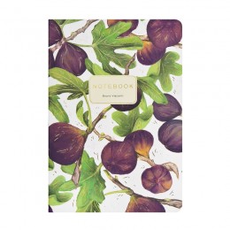 Тетрадь 40л А5 клетка 'Флора. Инжир' Bruno Visconti