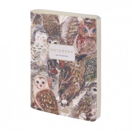 Блокнот А6 60л линия 'Волшебные совы' Bruno Visconti, экокожа