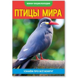 Энциклопедия-мини 'Птицы мира' 20 стр. БУКВА-ЛЕНД 