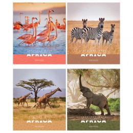 Тетрадь 96л А5 клетка 'Животные. Nature of Africa' ArtSpace