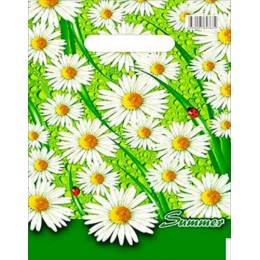 Пакет 20*30см 30мкм 'Лето', ПВД