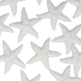 Шармик Морская звезда белая, 4 см
